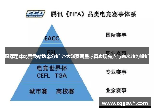 国际足球比赛最新动态分析 各大联赛明星球员表现亮点与未来趋势解析